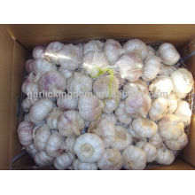 china garlic price national fruit and vegetable of china garlic wholesale market of garlic